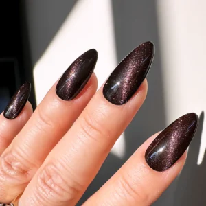 Dark Wine Cateye Nails